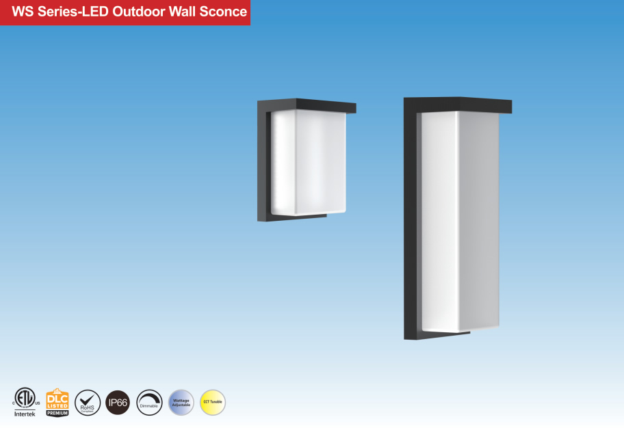 WS Series-LED Outdoor Wall Sconce